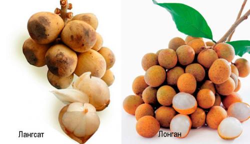 Фрукт похожий на киви только белый. 24 фрукта которые стоит попробовать. Фрукты и овощи Таиланда.