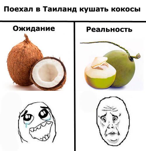 Фрукт похожий на киви только белый. 24 фрукта которые стоит попробовать. Фрукты и овощи Таиланда.