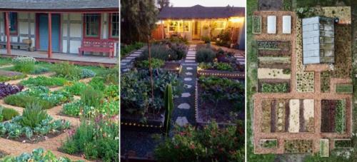 Расположение овощей на грядках. Расположение грядок