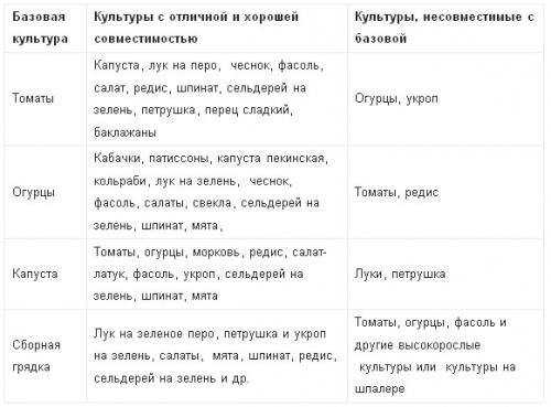 Соседство овощей в теплице. Правильные сочетания культур: что и с чем посадить в одной теплице, чтобы получить много урожая