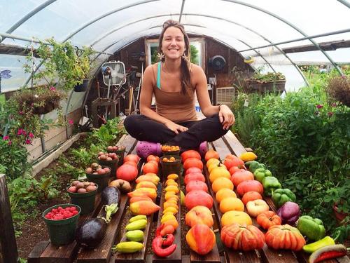 Соседство овощей в теплице. Правильные сочетания культур: что и с чем посадить в одной теплице, чтобы получить много урожая