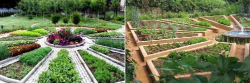 Расположение овощей на грядках. Расположение грядок