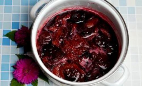 Каков оптимальный способ сочетания слив и шоколада в варенье. Сливовое варенье с шоколадом