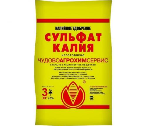 Когда нужно подкормить чеснок. Чем подкормить чеснок, посаженный под зиму