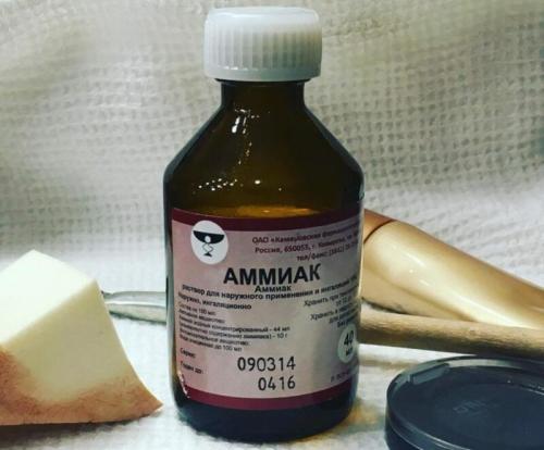 Чем подкормить чеснок весной, посаженный под зиму. Чем подкармливать чеснок, посаженный под зиму