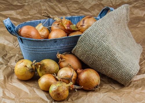 Чем лучше подкормить лук и чеснок. Подкормка для чеснока 03