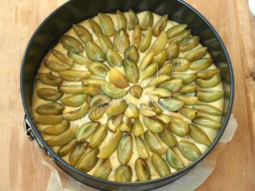 Сливовый пирог с шоколадом: необычное сочетание вкусов 07 Сливовый пирог с шоколадом: необычное сочетание вкусов 07