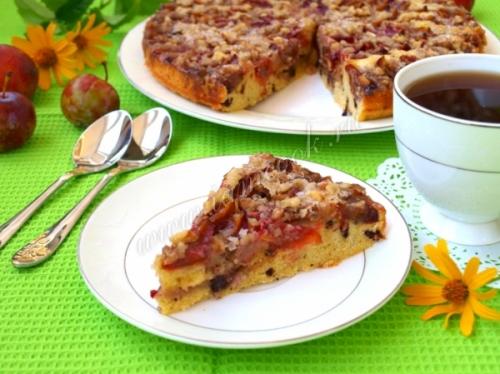 Сливовый пирог с шоколадом: необычное сочетание вкусов 13 Сливовый пирог с шоколадом: необычное сочетание вкусов 13