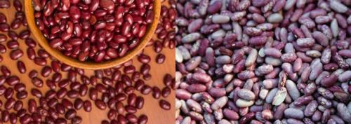 Что нельзя сажать после чеснока. Что посадить после чеснока на следующий год, советы, рекомендации