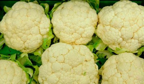 Что можно сажать после лука. Что сажать после лука на следующий год