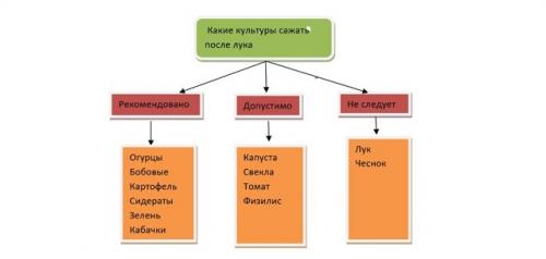 Что нельзя сажать после чеснока. Что посадить после чеснока на следующий год, советы, рекомендации