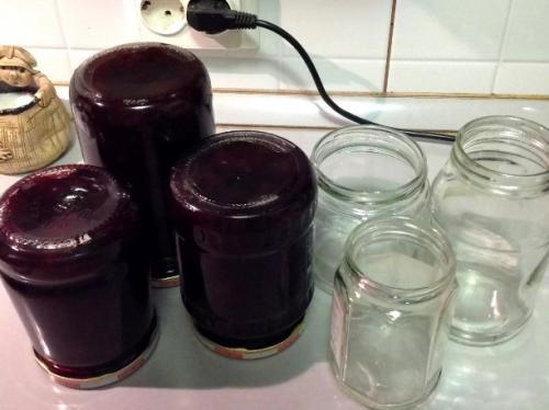 Какой оптимальный способ варки варенья из сливы. Сливовое варенье. Советы начинающим хозяйкам