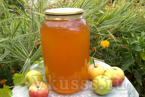 Яблочный сок в соковарке. Яблочный сок через соковарку на зиму: рецепт