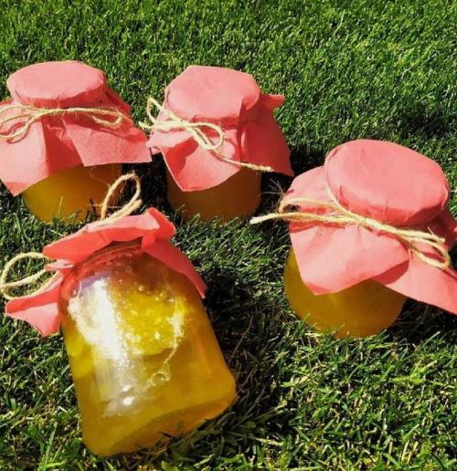 Как правильно подготовить сливы для варенья. Варенье из сливы без косточек на зиму – простой рецепт – «пятиминутка»