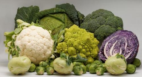 Что сажать после моркови и свеклы. Смотрим схему наоборот (что сажать после конкретных культур)