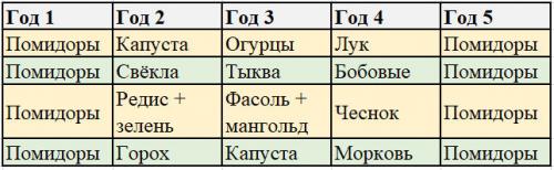 Что нельзя сажать после помидор. Что можно сажать после помидоров на следующий год: изучаем таблицу