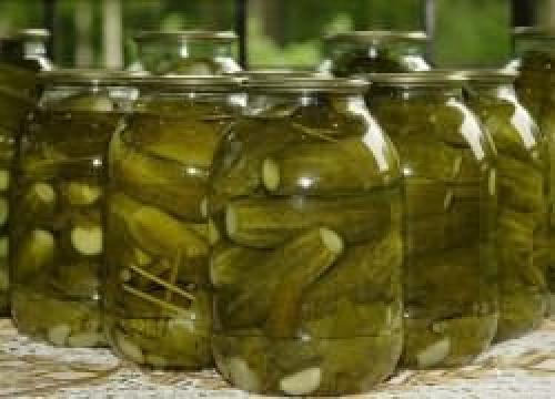 Лучшие сорта огурцов для засолки на зиму. Самоопыляемые сорта огурцов для консервирования 14 Лучшие сорта огурцов для засолки на зиму. Самоопыляемые сорта огурцов для консервирования 14