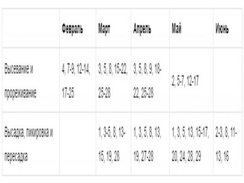 Когда сажать рассаду в 2022 году. Благоприятные дни для посадки семян на рассаду в 2022 году по лунному календарю