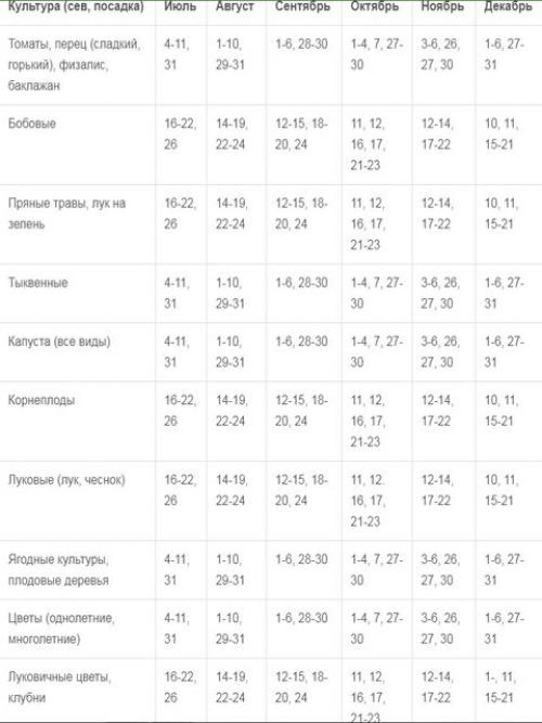 Когда сажать рассаду в 2022 году. Благоприятные дни для посадки семян на рассаду в 2022 году по лунному календарю
