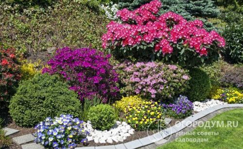 Что после чего можно сажать - таблица. Характеристики огородных культур и организация плодосмена