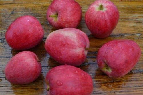 Яблони описание сортов. Лучшие сорта яблок: фото, названия и описания (каталог)