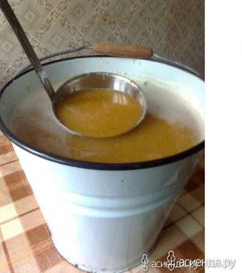 Что приготовить из белых слив. Белая слива. Рецепты. Консервирование. (Восстановленный пост).