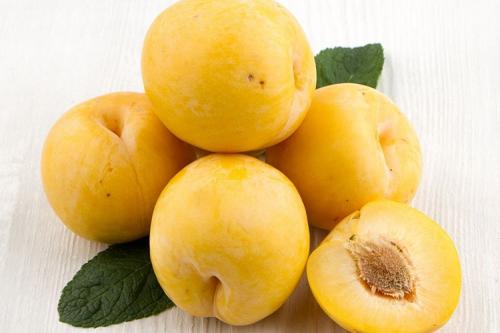 Слива Медовая Желтая описание. Описание сорта сливы Медовая