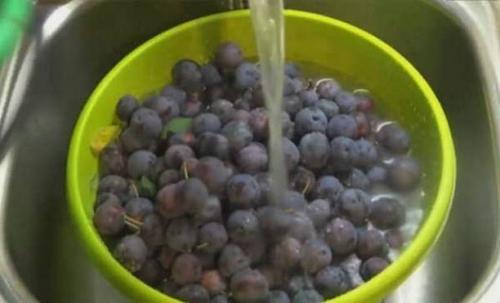 Варенье из сливы без косточек с медом. Кулинарные секреты 01 Варенье из сливы без косточек с медом. Кулинарные секреты 01