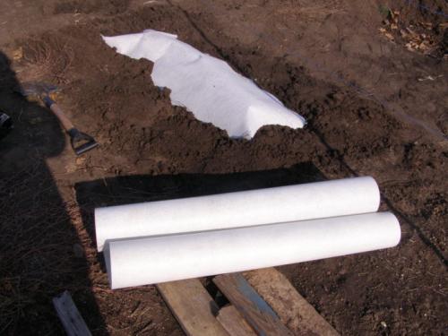 В чем разница в подходах к укрытию роз и винограда. Как укрыть виноград на зиму