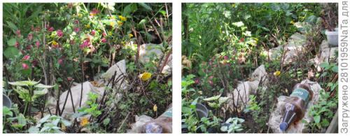 Как правильно укрывать молодые деревья и кустарники. Не забываем - укрываем молодые растения