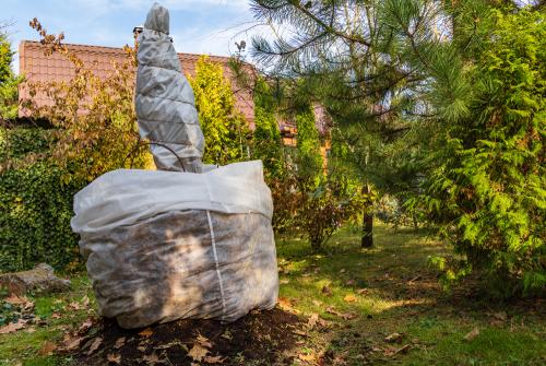 Какие материалы лучше всего использовать для укрытия растений на зиму. Тепло и сухо. Обзор материалов для укрытия растений на зиму