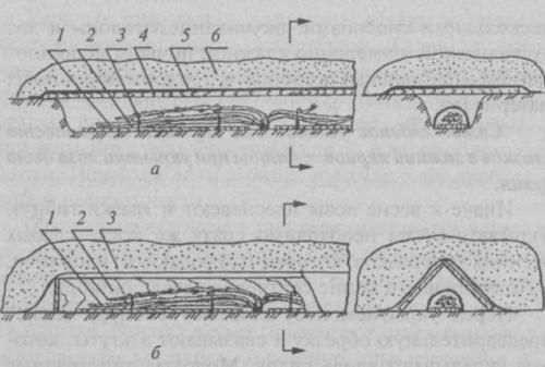 Какие материалы лучше всего использовать для укрытия винограда. Использование плёночных укрытий для защиты винограда