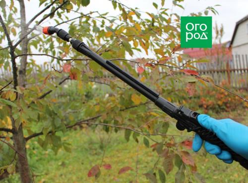 Как укрыть посадки на зиму: полезные советы для садоводов и огородников 14 Как укрыть посадки на зиму: полезные советы для садоводов и огородников 14