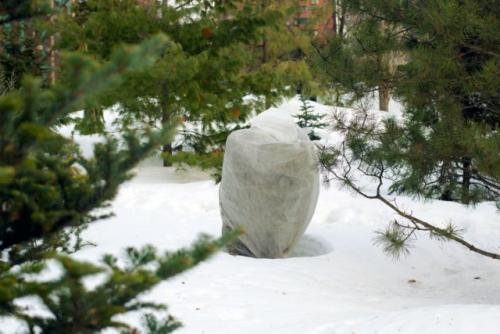 Какие существуют современные методы укрытия посадок на зиму. Зачем это всё?