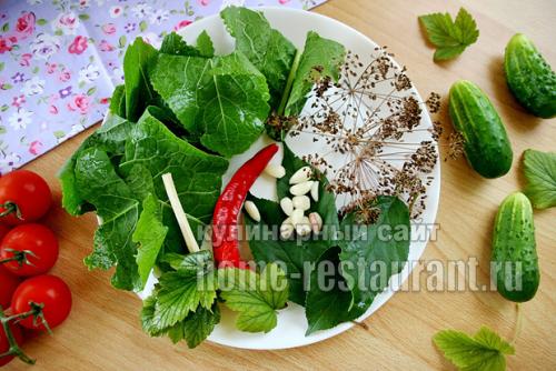 Огород в литровых банках.