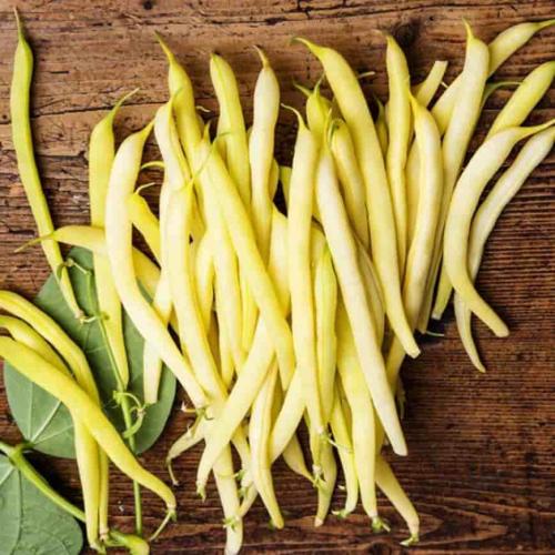 Сорта фасоли Кустовые и Вьющиеся. Вьющиеся сорта фасоли 03 Сорта фасоли Кустовые и Вьющиеся. Вьющиеся сорта фасоли 03