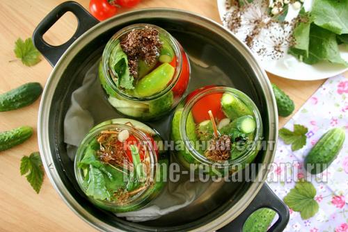 Огород в литровых банках.