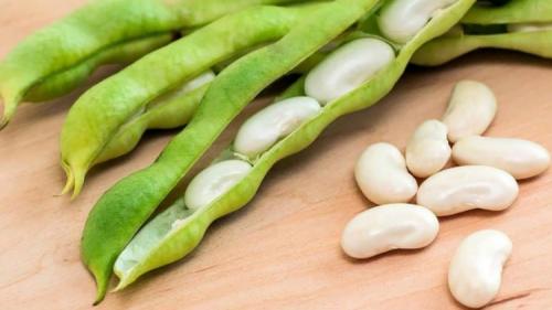 Сорта фасоли Кустовые и Вьющиеся. Вьющиеся сорта фасоли 11 Сорта фасоли Кустовые и Вьющиеся. Вьющиеся сорта фасоли 11