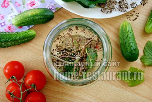 Огород в литровых банках.