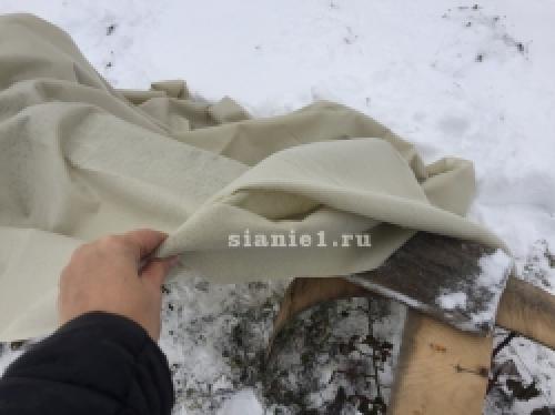 Полное руководство: как правильно укрыть растения на зиму 14