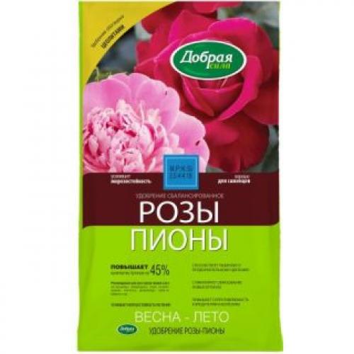 Как ухаживать за розами после снятия укрытия весной. Подкормка роз весной