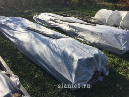 Полное руководство: как правильно укрыть растения на зиму 05