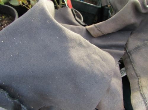 Как защитить розы от морозов: советы по укрытию на зиму 03 Как защитить розы от морозов: советы по укрытию на зиму 03