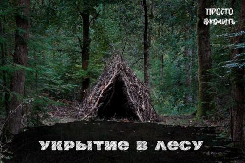 Есть ли альтернативные методы укрытия, кроме традиционных. Укрытие в лесу: Как построить безопасный дом из подручных материалов