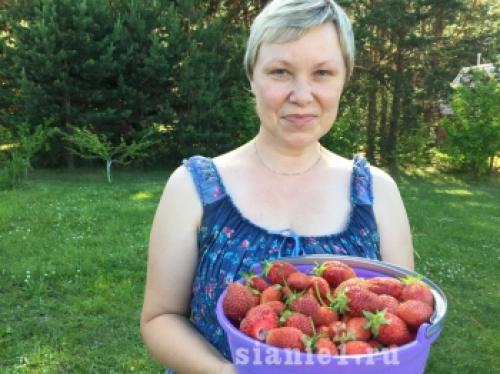 Полное руководство: как правильно укрыть растения на зиму 04