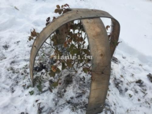 Полное руководство: как правильно укрыть растения на зиму 12