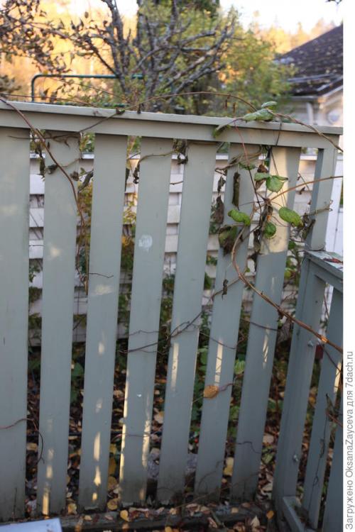 Можно ли сочетать несколько материалов для укрытия одного растения. Как укрыть лианы вместе со шпалерами, или Одеялко для актинидий