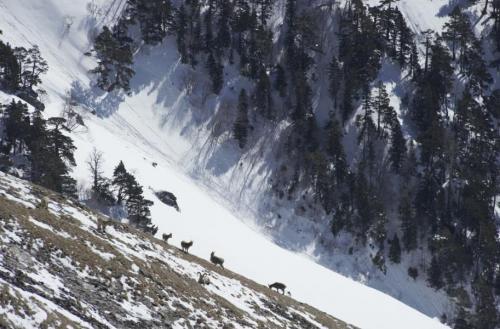 Headlines: 03 Headlines: 03