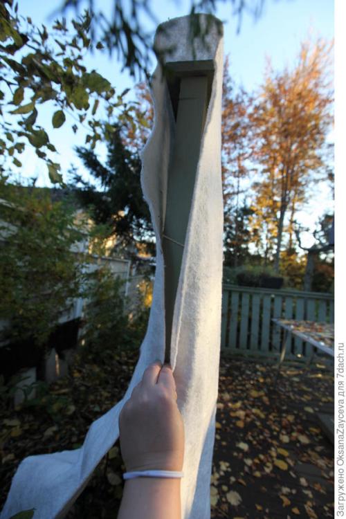 Можно ли сочетать несколько материалов для укрытия одного растения. Как укрыть лианы вместе со шпалерами, или Одеялко для актинидий