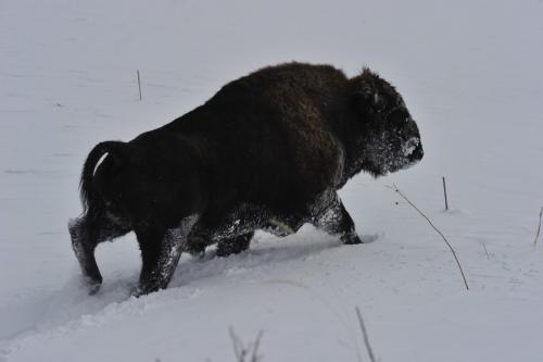 Headlines: 02 Headlines: 02